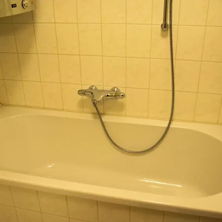 12 Grüner Baum Alpendorf *