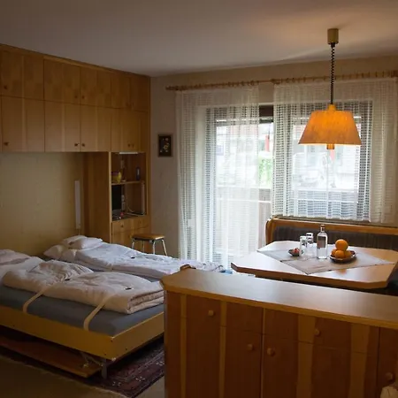 12 Gruener Baum Alpendorf * Sankt Johann im Pongau