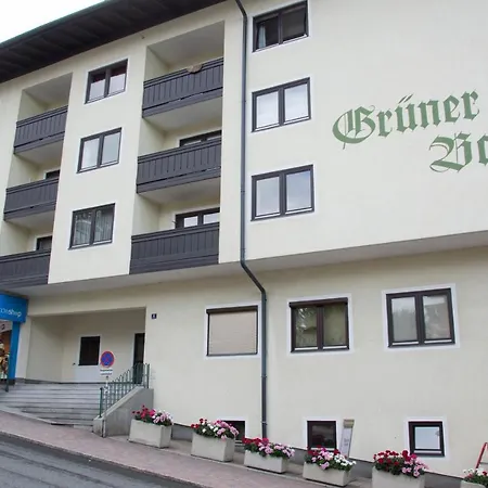 12 Gruener Baum Alpendorf Sankt Johann im Pongau