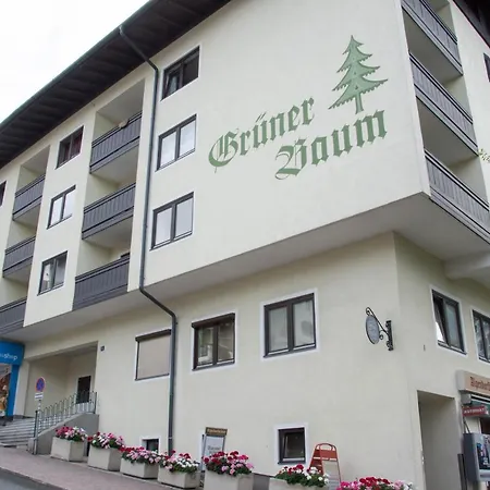 12 Grüner Baum Alpendorf