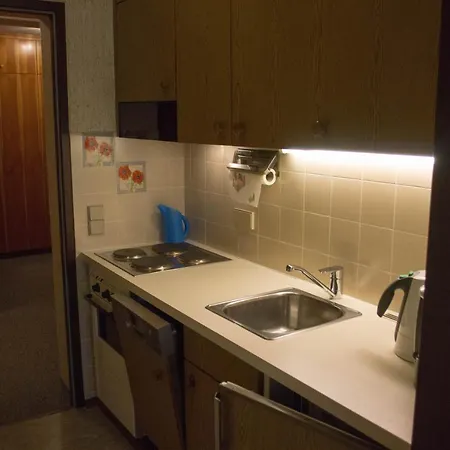 12 Gruener Baum Alpendorf *
