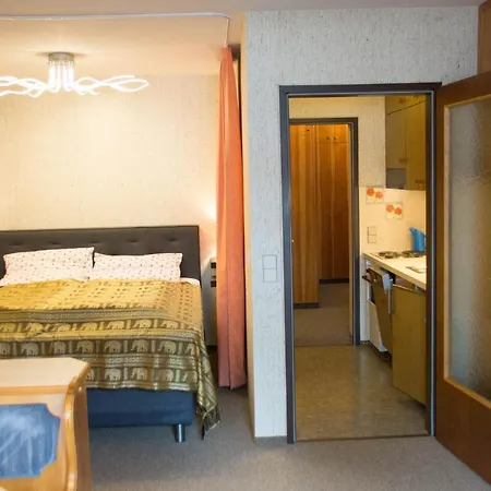 12 Grüner Baum Alpendorf *